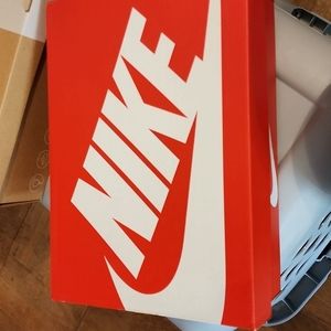 Nike Court Borough Low 2